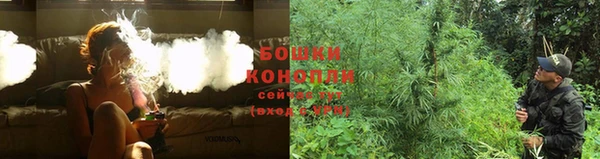 ПСИЛОЦИБИНОВЫЕ ГРИБЫ Беломорск