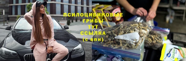 ПСИЛОЦИБИНОВЫЕ ГРИБЫ Беломорск